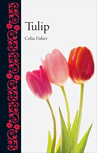 Preisvergleich Produktbild Tulip (Botanical)