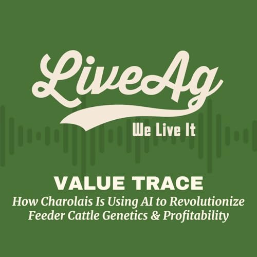 Value Trace: How Charolais Is Using AI to Revolutionize Feeder Cattle Genetics & Profitability