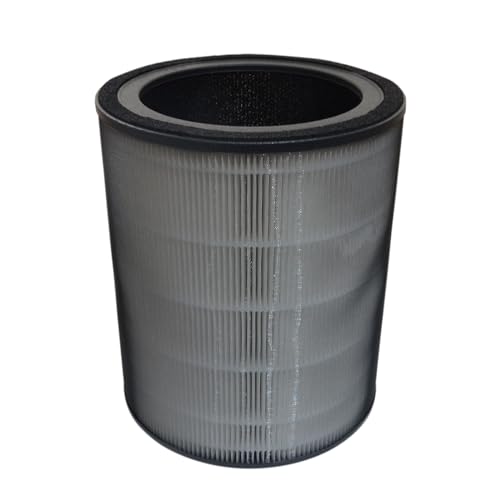 Filtre Winix T810 HEPA compatible filtre R 1712-0118-00 charbon