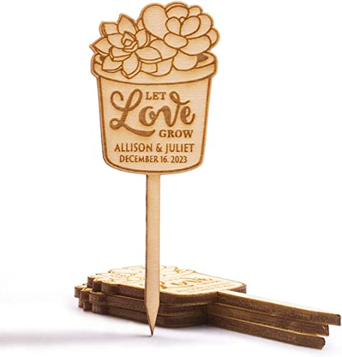 Summer-Ray Lot de 60 étiquettes personnalisées en bois pour plantes succulentes