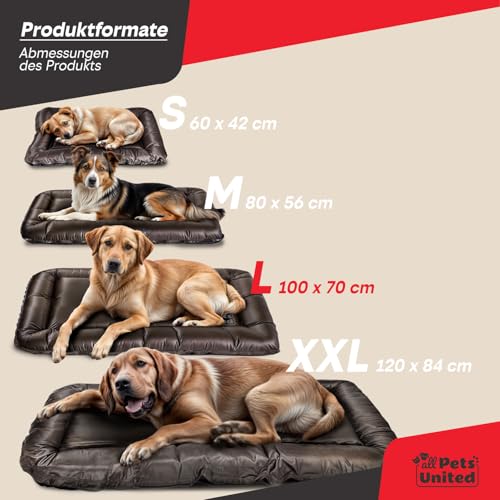 all Pets United® Hundekissen Hundebett Indoor & Outdoor; Hunde-Kissen Hunde-Körbchen; Schlafplatz für Hund & Katzen (L - 100x70 cm)