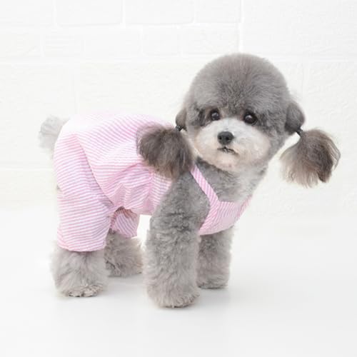 Disfraz pantalón tirantes sandía para perro talla M miniatura 6