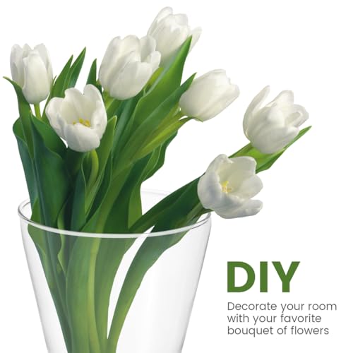 Image of Healeved Transparent Circular Cone Glass Vase, Wall Mounted Plant Propagation Station, Ideal Mother's Day Gift, 20.50 cm (H) x 9.00 cm (Diameter)