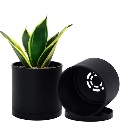 D'vine Dev 2-Pack Black Plastic Planters with Saucers, 4.5 in, 74-Y-F-1