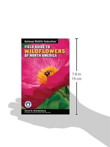 National Wildlife Federation Field Guide To Wildflowers Of North America #TOP4