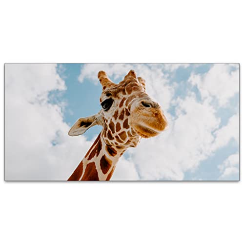 Image of Fluorescent Light Covers for Classroom Ceiling Lights - 2x4ft Backlit Film for Fluorescent Fixtures, Easy to Install - School, Office, Sensory, Improve Focus, Eliminate Headaches - Giraffe