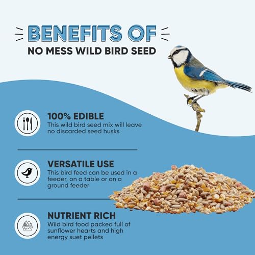 Happy Beaks No Mess Wild Bird Seed - No Grow No Husk No Waste Feed Mix High Energy Premium Food For Wild Birds … (Wild Bird Seed 5kg) - 5