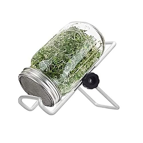 Dorccsi Mason Jars Sprouting Jar Kit Germination Seed Sprouter Set with Lid Stand for Growing Broccoli Alfalfa Bean Sprouts 500mlSprouting KitMason Jars with Lids