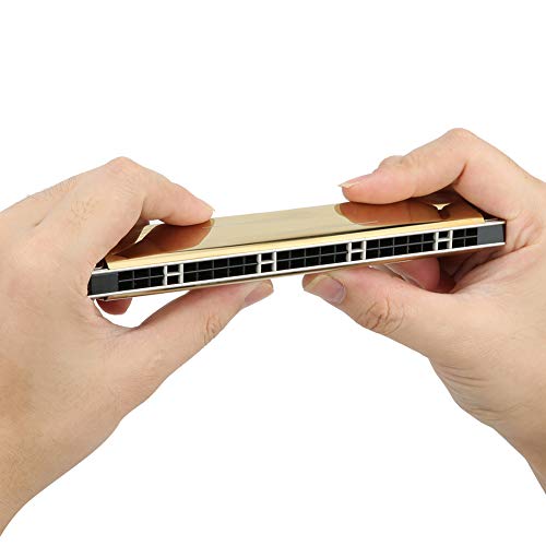 Clé de l’orgue à bouche Harmonica diatonique à 24 trous G avec étui pour étudiants adultes débutants(Golden G #Key) - Les Beatles, Paul McCartney, John Lennon, RIngo Starr, George Harrison Clé de l'orgue à bouche Harmonica diatonique à 24 trous G avec étui pour étudiants adultes débutants(Golden G #Key) – Image 6