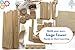 PATHFINDERS STEM Kit – Medieval Siege Tower with Catapult | Wooden Building Kit for Kids Ages 12-14 | Engineering & Physics Toy | Hands-On STEM Project