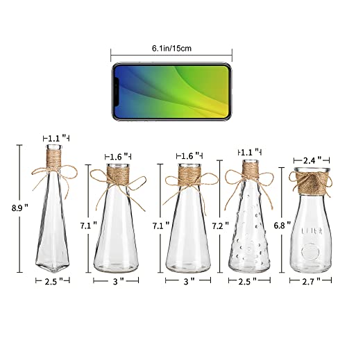 Paoripets Flowers Vases Set Of 10, Small Clear Glass Vases With Rope Design And Differing Unique Shapes Flower Vase For Home Holiday Decoration #TOP1