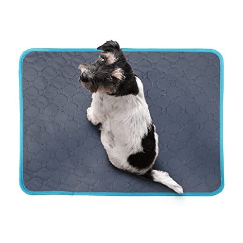 TiTiSNUGY 洗えるペットシーツ ペット用おしっこマット 【ブルー縁ガイド!】 小型犬・猫・うさぎ用トイレマット 小動物対応 四重構造で漏れ防止/滑り止め/超吸収 丸ごと洗える 繰り返し使える 速乾 制菌 介護(グレー60x45cm 2枚)