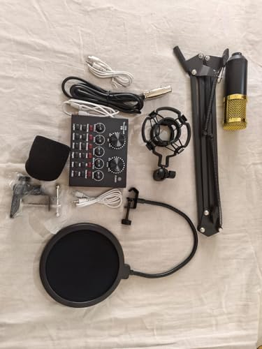 Image of Professional Condenser Microphone with Patented Audio Reference Comparing for Crystal Clear Sound, Condenser Microphone