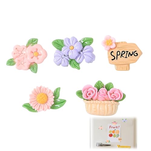 LACHT 10 Piezas Imanes Nevera, Imanes Personalizados Nevera,