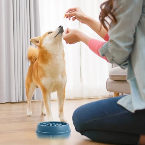 2 Stück Anti Schling Napf Hund, Antischlingnapf für Hunde, Langsame Fütterung für Kleine und Mittelgroße Haustiere, Interaktiver Napf für Slow Feeder und Katze
