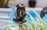 Cane Companion Beatrix Potter Cane Topper Bronze – Mr Jeremy Fisher