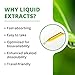 NutraMedix Sweet Leaf Stevia Liquid Drops - Sugar Free Sweetener from Pure Stevia Leaf Extract for Microbial Support - Low Carb, No Added Sugar (2 oz / 60 ml)