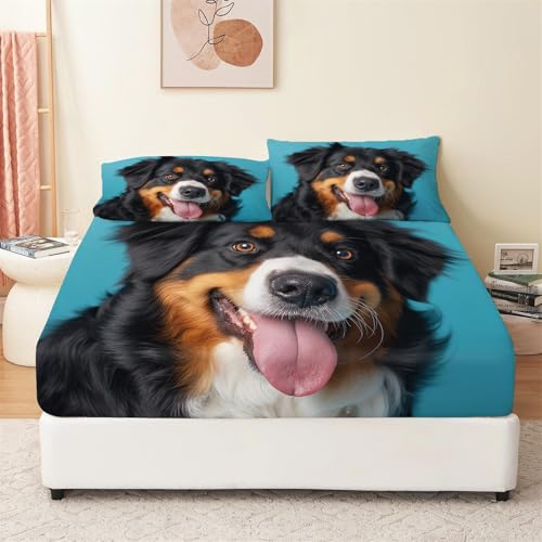 Fotografía Animal Perro De Montaña De Berna Sábana Bajera Ajustable 160x200 cm Microfibra hipoalergénica Transpirable con Estampado Sábana Bajera Ajustable Multicolor para Colchón de 30cm de Altura
