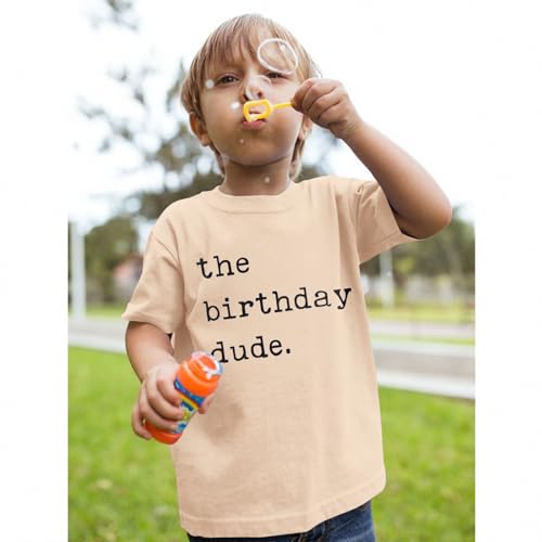 Birthday Boy Shirt Birthday Dude Tshirt 2nd 3rd 4th 5th 6th Toddler Boys B-Day Party Tee Tops4