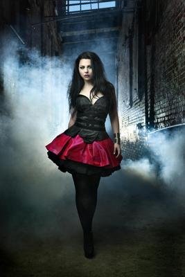 Amazon.com: spot on dog Amy Lee & Evanescence Promos 24X36 Poster