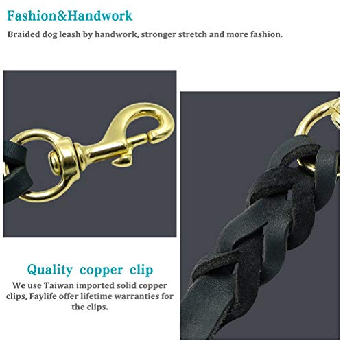 Downtown Pet Supply 5ft Dog Leash - Heavy-Duty Dog Leash with Padded Comfort Handle and Stainless Steel Fastener - Durable Dog Training Leash - Floral - 1 in Wide