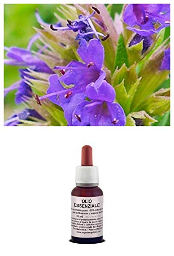 Olio essenziale 100% Puro ISSOPO Naturale Uso