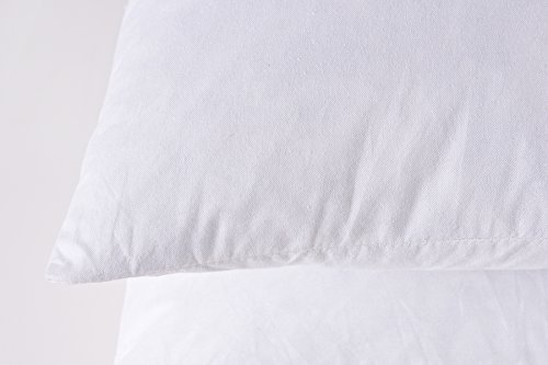 Set of 2, 95% Feather 5% Down Decorative Throw Pillow Insert, 100% Cotton, 12x20 Inch