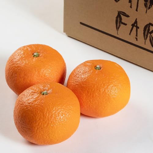 [先行予約]津之輝 約5kg S・M・Lサイズおまかせ [赤秀] 和歌山県産[Mg7] 海南市 まごころ産直みかん