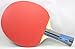 Butterfly Timo Boll Shakehand Ping Pong Paddle - Good Speed and Spin with Superb Control - Japan Series - Recommended for Beginning Level Players - International Table Tennis Federation Approved