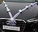 Organza M Auto Joyas Novia par Rose Decoración Boda Coche Wedding Deko...