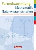  Formelsammlungen Sekundarstufe I - Hessen: Mathematik - Naturwissenschaften - Formelsammlung mit Prüfungseinleger