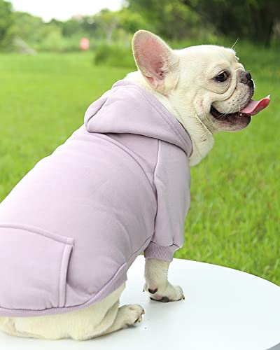 Winter Dog Coats For Small Dogs, Dog Hoodie For Small Dogs, Chihuahua Clothes, French Bulldog Clothes, Dog Clothes For Small Dogs Boy, Girl, Dog Sweatshirt. (Purple, M) #TOP4