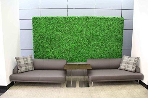 Artificial Topiary Hedge Plant Privacy Fence Screen Greenery Panels Suitable For Both Outdoor Or Indoor, Garden Or Backyard And Home Decorations, Boxwood 20 X 20 Inch (48Pack Cover132 Sqf) By E-Joy #TOP1