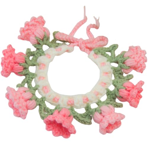 Lƌp̂킢xt[jbgJ[A߉\ANX}XƒãMtgAʐ^Be (SAsN)