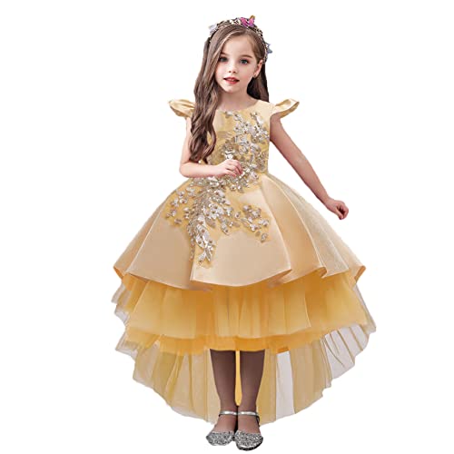 Ropa para niños y vestidos de boda de fiesta infantiles bordados de 6 años