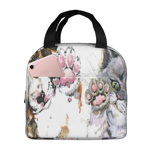 fM`obO e h MRh~ X^CbVŏv dAwZAAEghAɕ֗ jp (킢qLAʔAʉALƎq̃O[~O`)