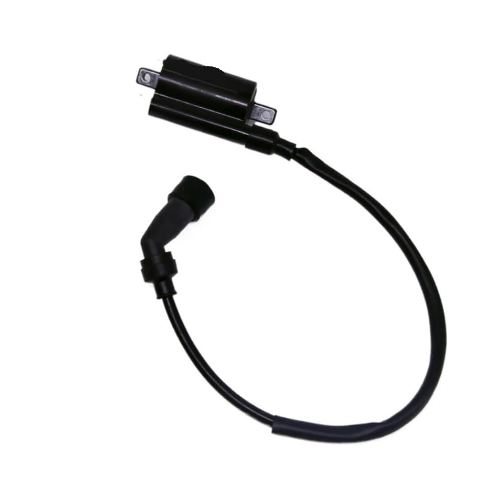 Bobina de encendido para ATV 300cc compatible con pieza JLA-931E 4