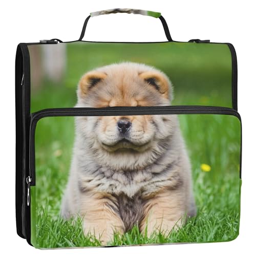 Ɨpt@Xi[toC_[I[KiCU[ 3OoC_[ 1.5C` DO`E q   [ |[gtHIP[X nht ~hXN[oC_[obO Xgbvt