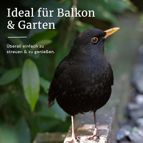 Erdtmanns Fettfutter für Wildvögel 15 × 1000 g – energiereiches Ganzjahresfutter mit Haferflocken, Erdnüssen & Früchten – ideal für Balkon & Garten – beliebt bei Meisen, Amseln