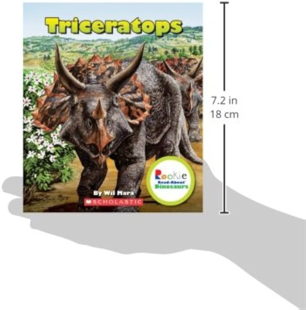 邦楽 TRICERATOPS 12-Bar '13' DVD TRICERATOPS 12-Bar “13” | TRICERATOPS Official Site