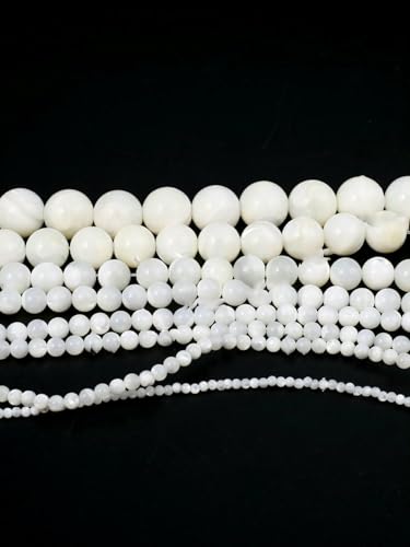 Collares Gatos con Nombre Marca VIEPGJ