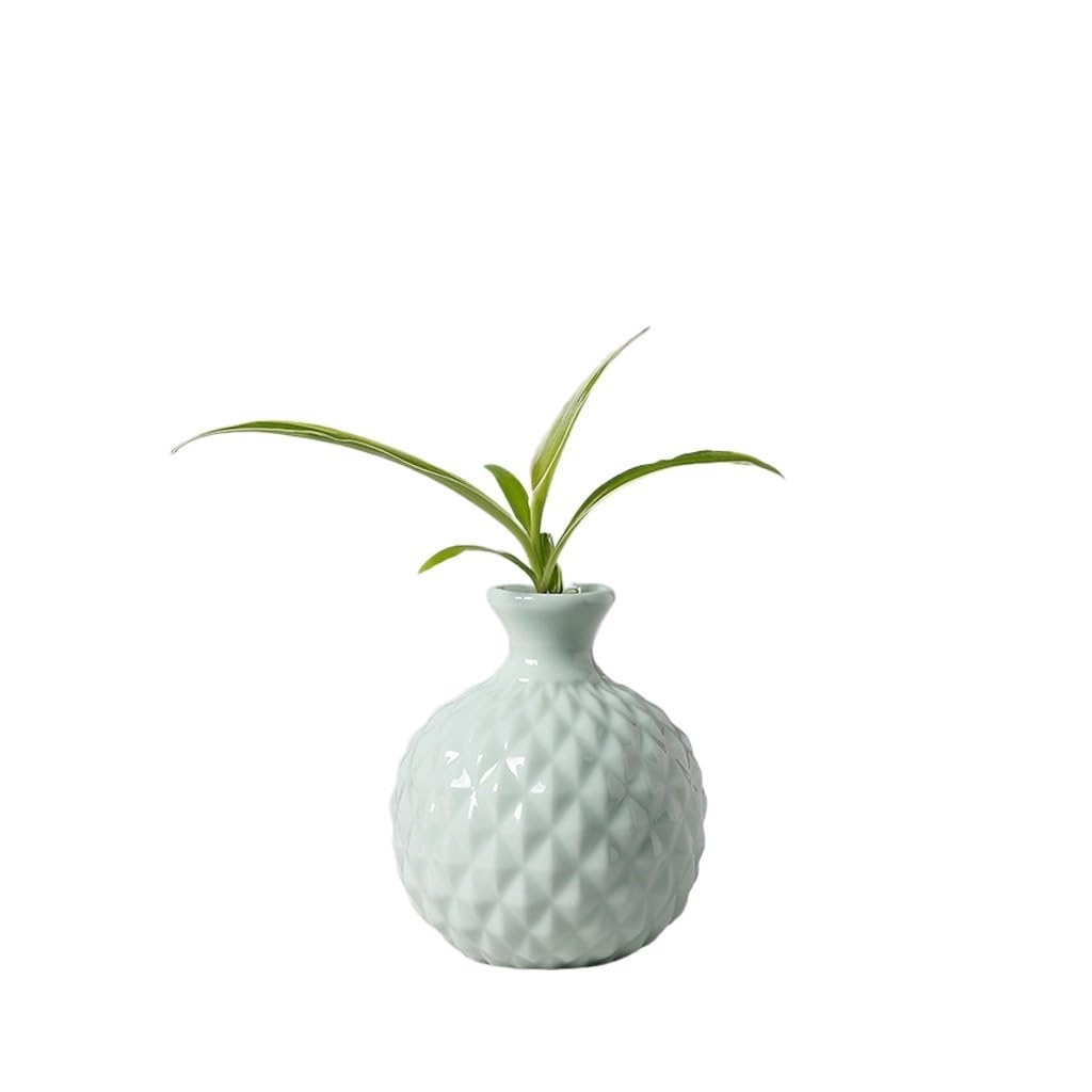 GELASIGE Flower Pots European ceramic vases, creative mini flower pots, hydroponic flower arrangements Outdoor Flower Pots(B)