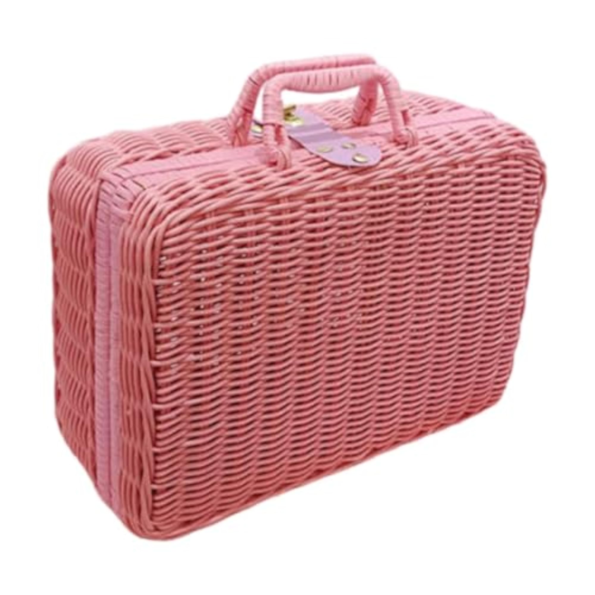 Portable Picnic Suitcase for Home Outings