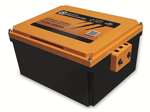 LIONTRON LiFePO4 12,8V 200Ah Under seat Battery LX; 1920Wh;  3000 Zyklen bei 90% Entladungstiefe (DOD) mit BMS und Bluetooth Überwachung; für Wohnmobil oder Boot 395x280x187mm - LIDUCSM12200LX