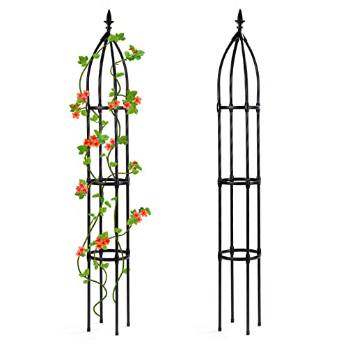 Garden Trellis For Climbing Plants Outdoor Indoor | Metal Rustproof Sturdy Plant Support | 67" Tall Obelisk Narrow Trellis For Flower Vegetable Fruit Vine, Black, 1Pc #TOP4