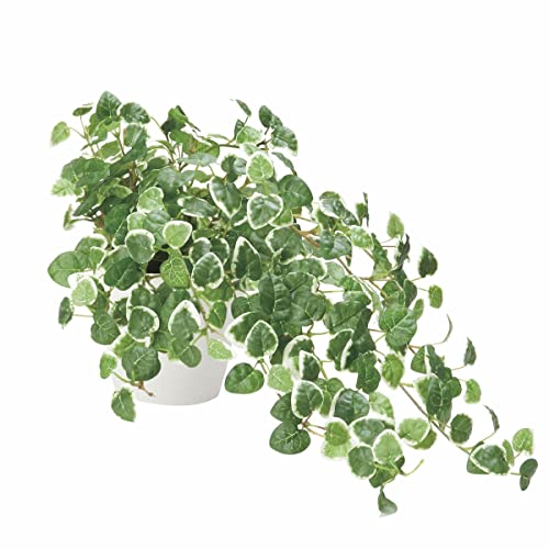 G} lHϗtA ̊y v~ 557H70 O[