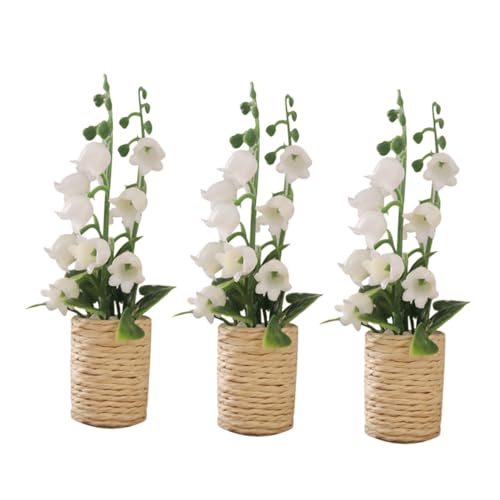 MUSISALY 12XP[lHqVX~ h[nEXp~j~̓f CeA^