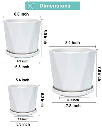 White Ceramic Geometric Indoor Plant Pot with Tray - Set of 3 Middle and Large Modern Planter (5.4\" 6.8\" 8.1\"), Diamond Texture Flower Pots with Drainage Hole and Saucer for Indoor Outdoor Plant