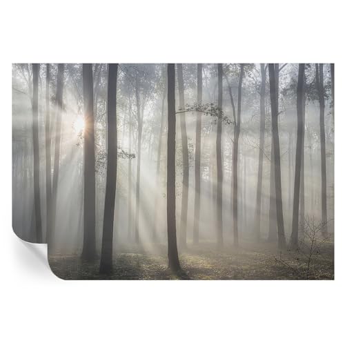 Papel pintado autoadhesivo salón vinilos decorativos murales 2
