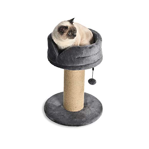 Amazon Basics Cat Tree